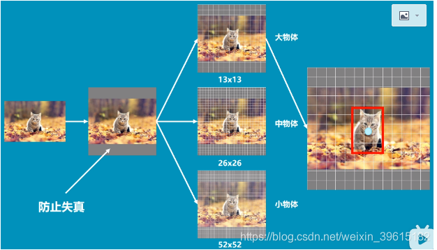 ここに画像の説明を挿入