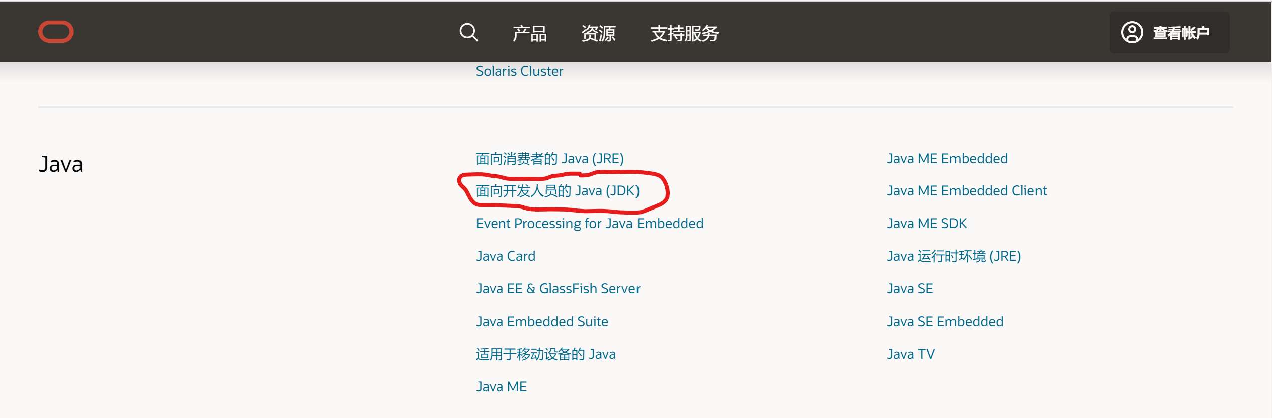 面向开发人员的 Java (JDK)