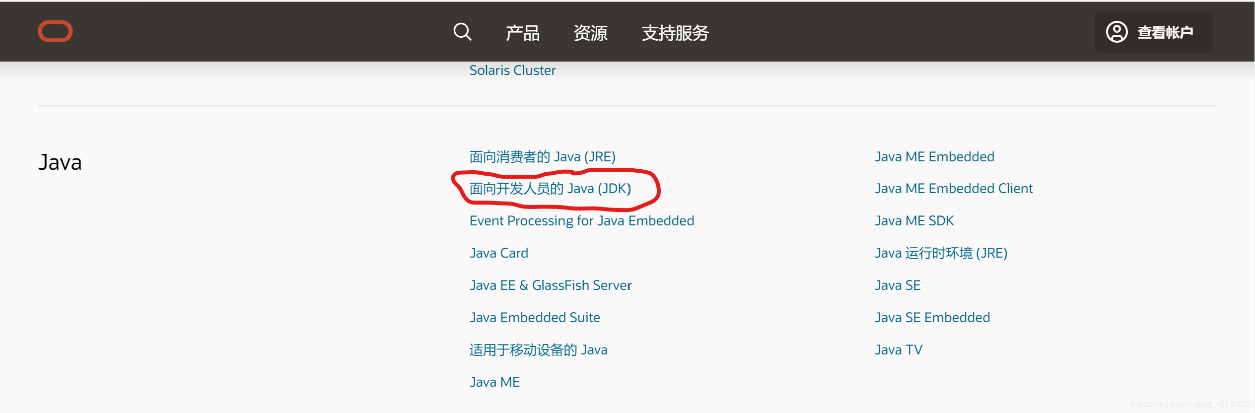 面向开发人员的 Java (JDK)