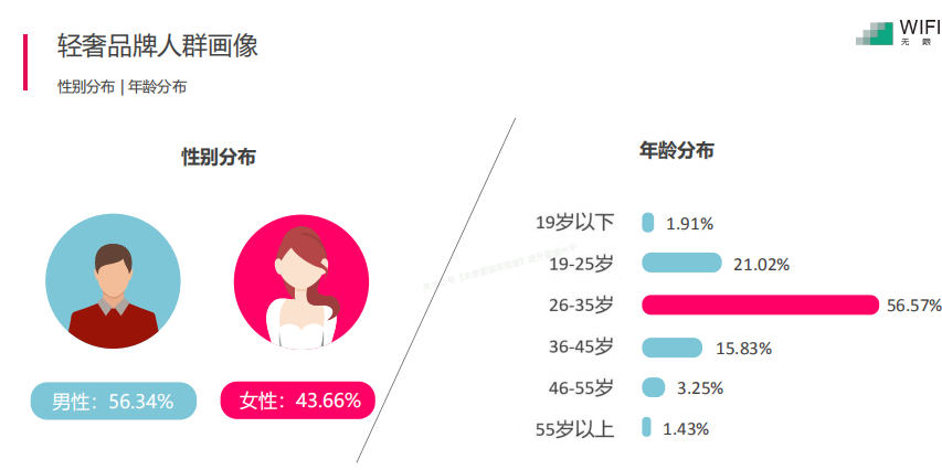 轻奢消费人群画像报告