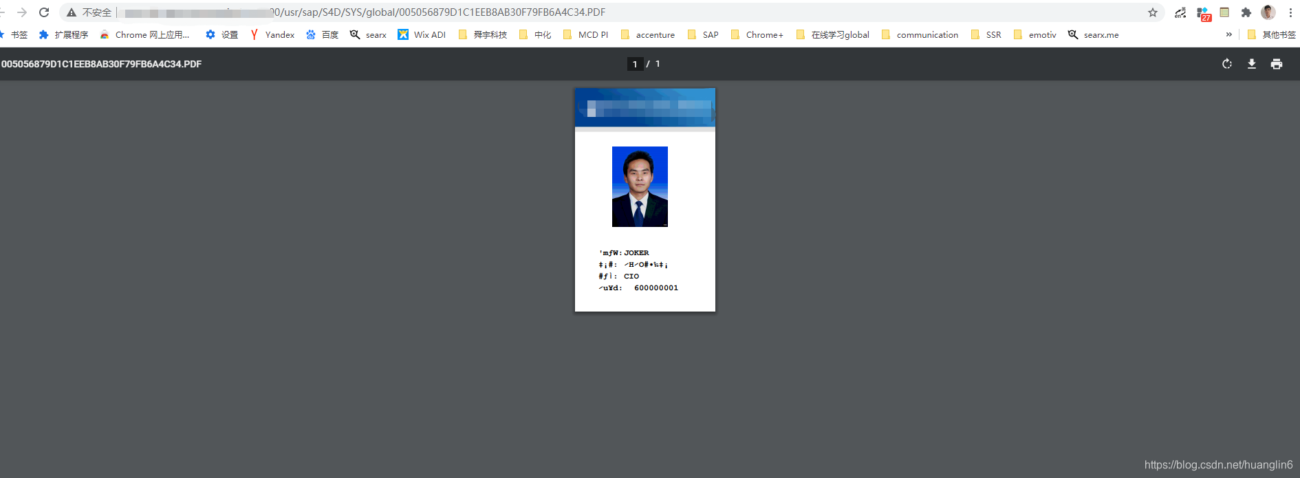 SAP Smartforms Pdf Joker Full Stack CSDN