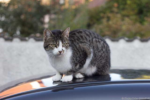 python matplotlib.Rectangle在一幅图片里作出一个或多个矩形框_plt.rectangle-CSDN博客