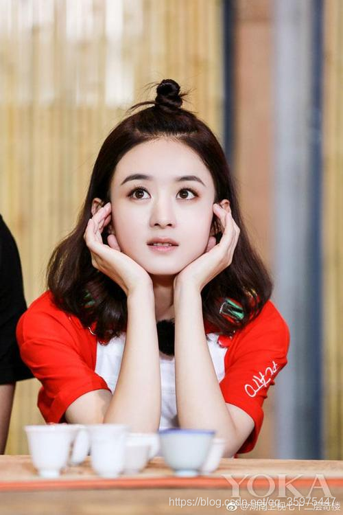 zhaoliying.jpg