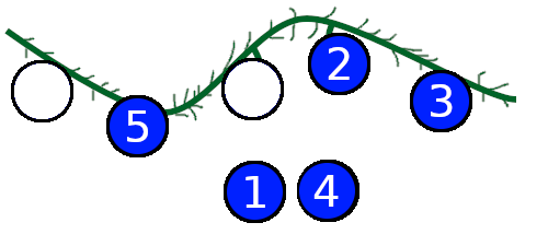 Codeforces Round #612 (Div. 1) A. Garland（dp动态规划）