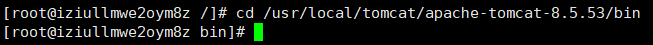 Enter the bin directory under the tomcat installation directory