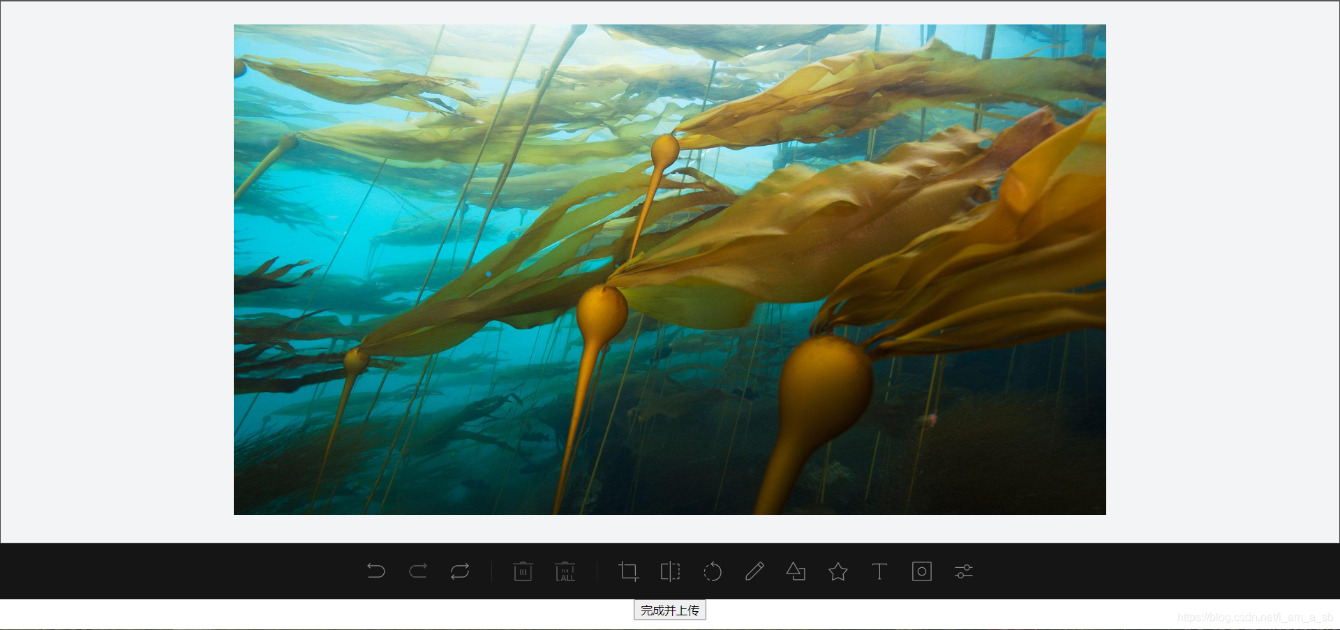 快给你的Vue项目添加一个编辑图片组件吧