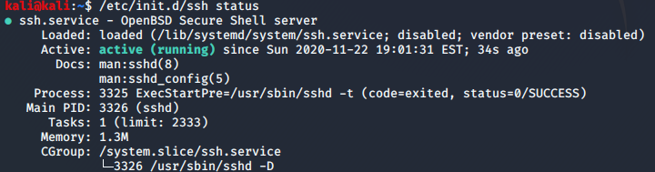 Kali Linux 开启 SSH 服务