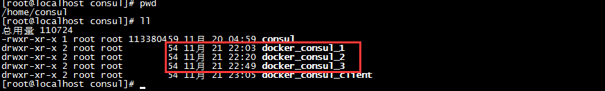 SpringCloud 使用Docker搭建Consul节点集群