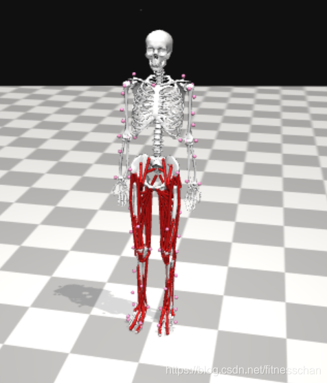 2020-11-23_opensim模型贴点方案-CSDN博客