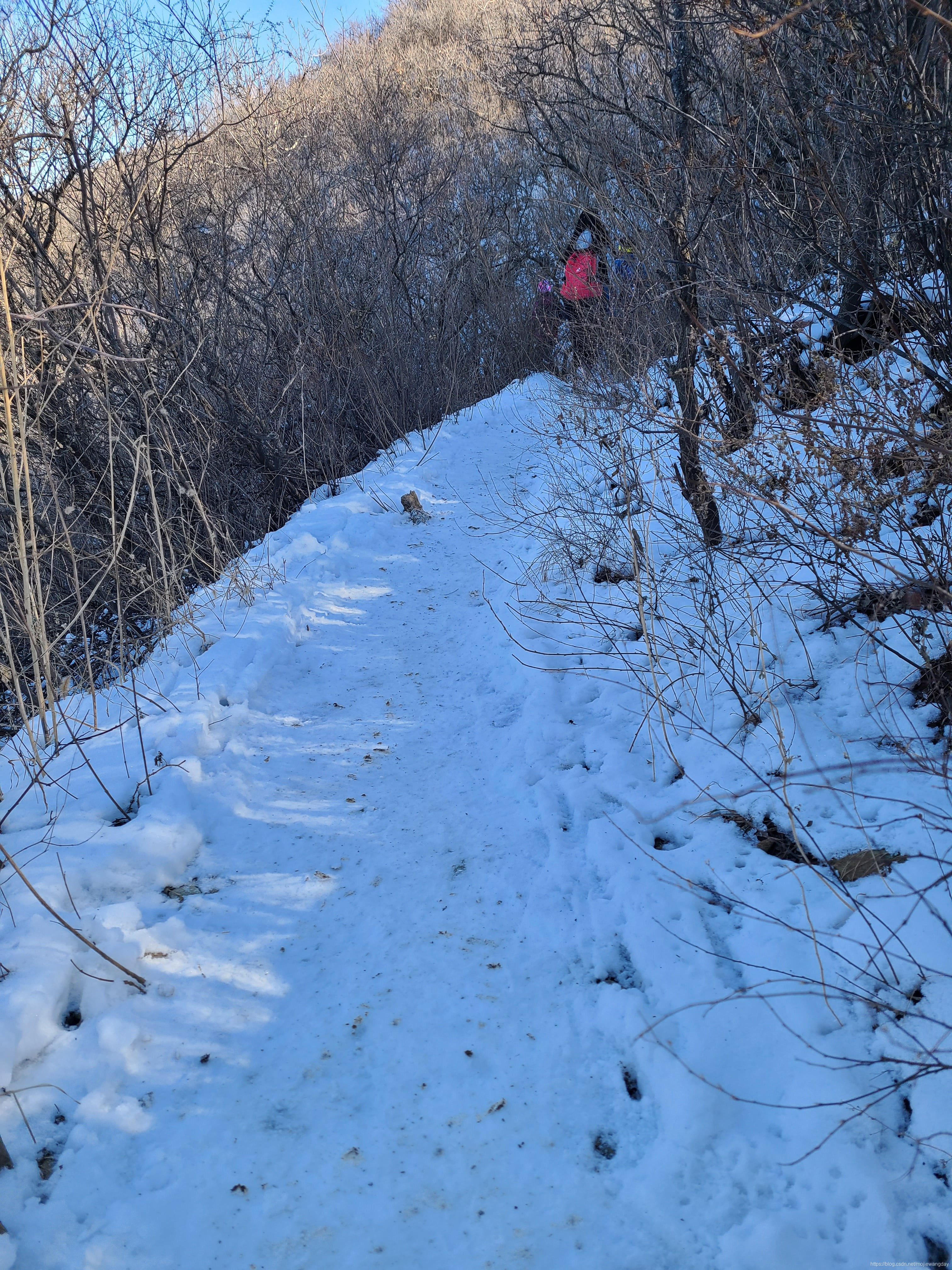 雪路