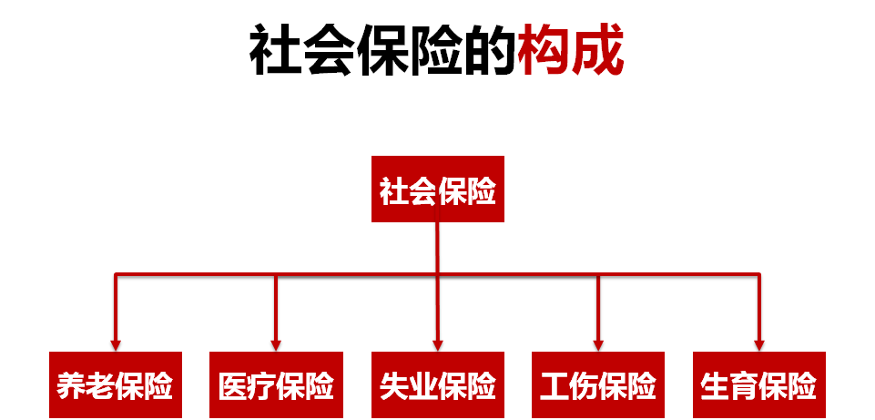 社保知识五险两金解读