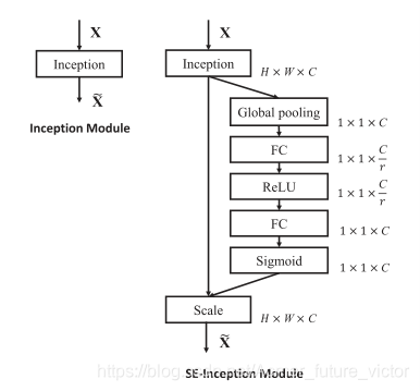 SE block+Inception Module