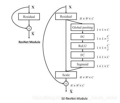 SE block + ResNet Module