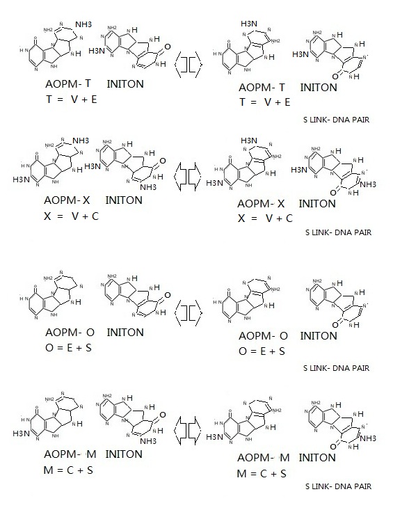 dna计算 与 肽展公式 推导 aopm-op-t 变感腺尿变苷, aopm-op-x 变感