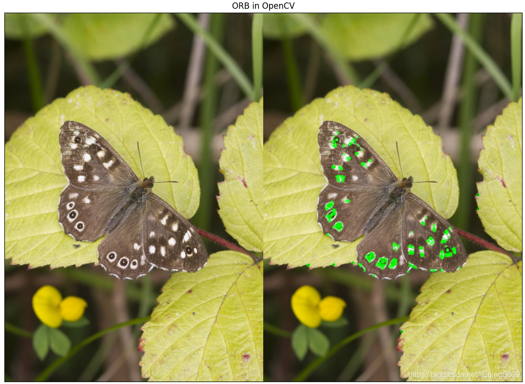 Python+OpenCV:ORB: An efficient alternative to SIFT or SURF_python orb ...