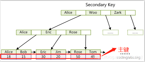 普通索引树结构，图还是来源于网上
