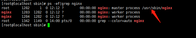 linux启动nginx命令_linuxzip解压命令
