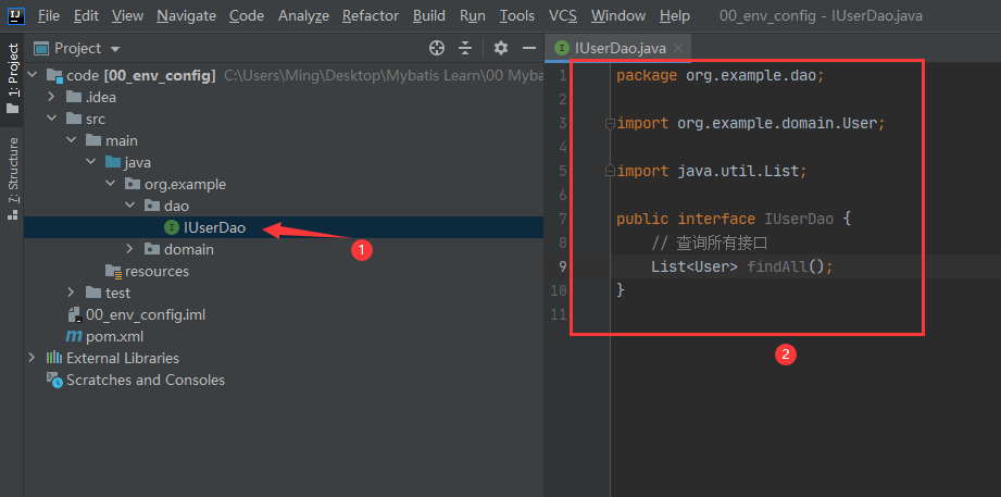 创建IUserDao接口