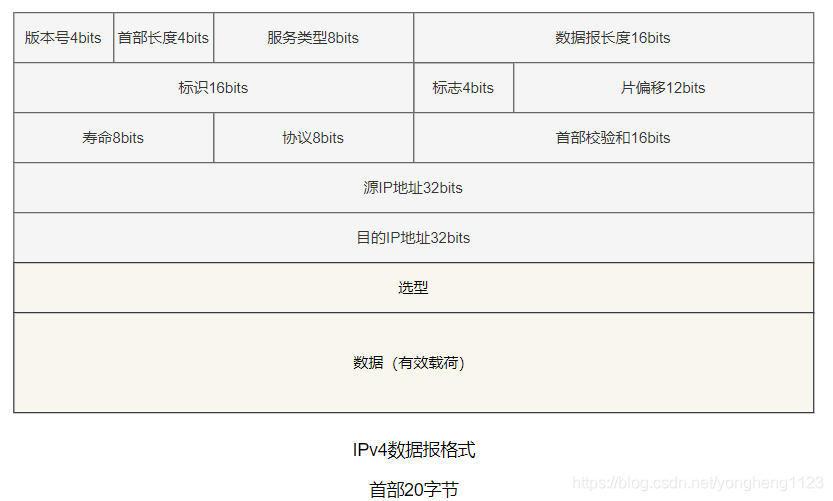 IPv4数据报格式