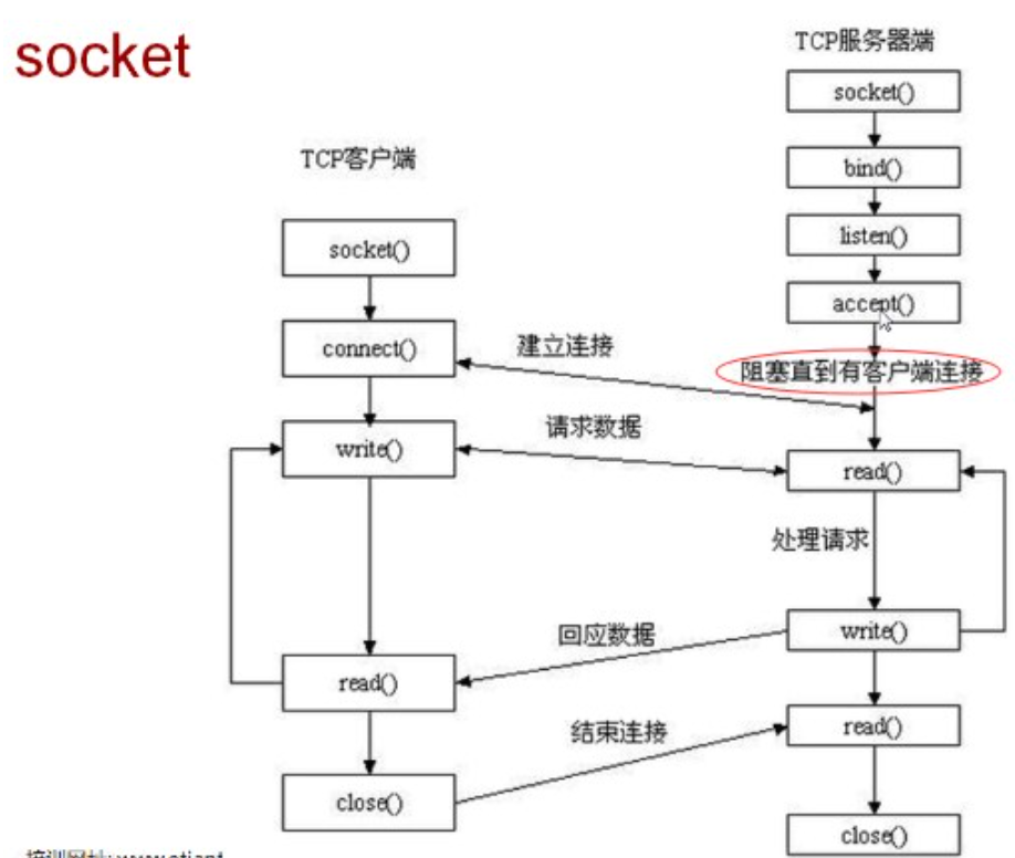 flex socket python - Programmer Sought