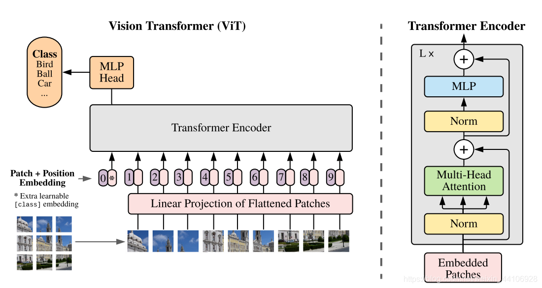 Vision Transformer整体架构