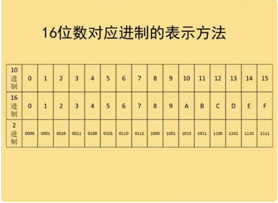 一个16进制的数占多少字节?比如19