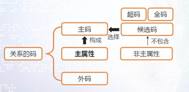 候选码、主码、外码、全码、超码