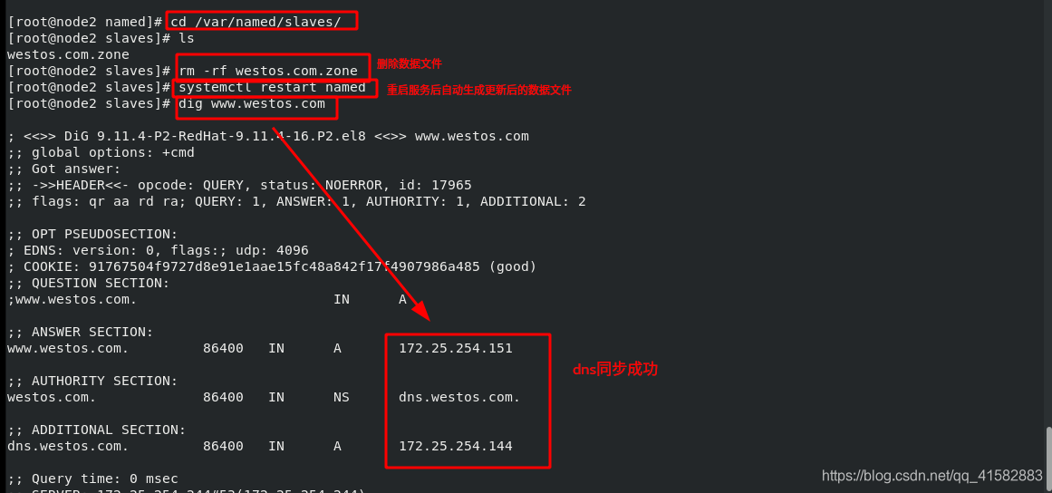 域名服务器转发(转发域名服务器位于域名树)「域名转发服务器如何配置」 行业资讯 域名服务器转发(转发域名服务器位于域名树) 域名服务器转发(转发域名服务器位于域名树)「域名转发服务器如何配置」 行业资讯