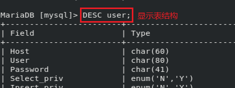 ここに写真の説明を挿入