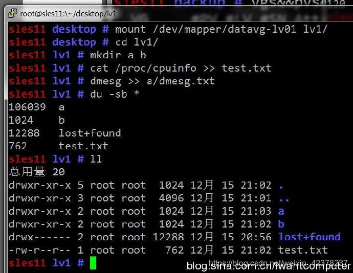 一次Linux LVM VG丢失完整找回过程记录