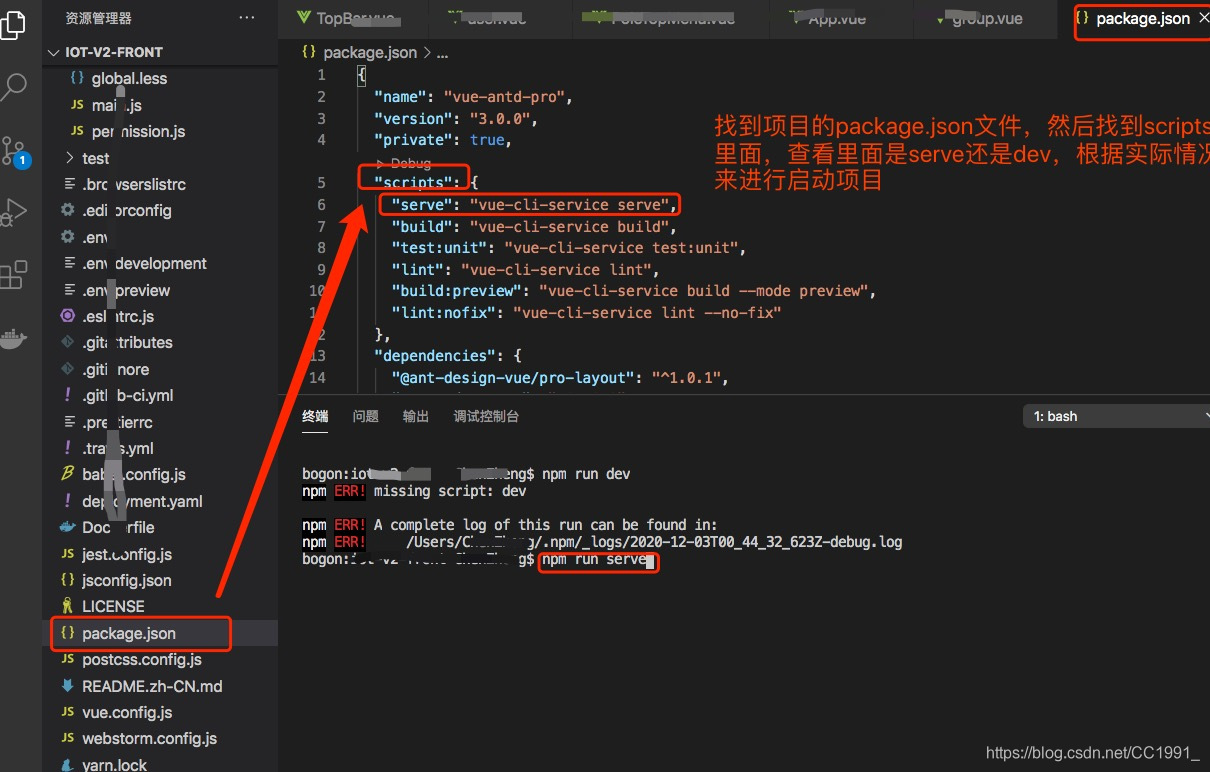 npm run serve vs npm run dev