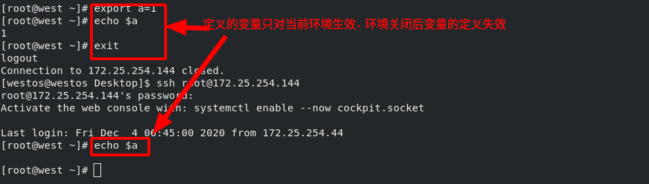 Shell中的变量 Kkang 的博客 Csdn博客