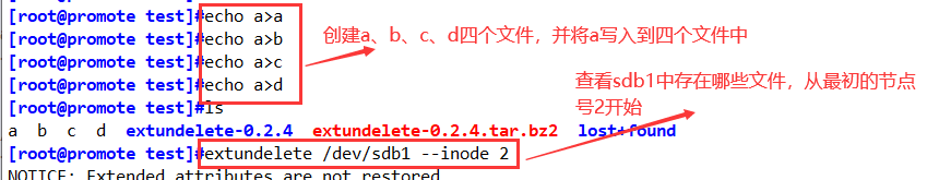 여기에 사진 설명 삽입