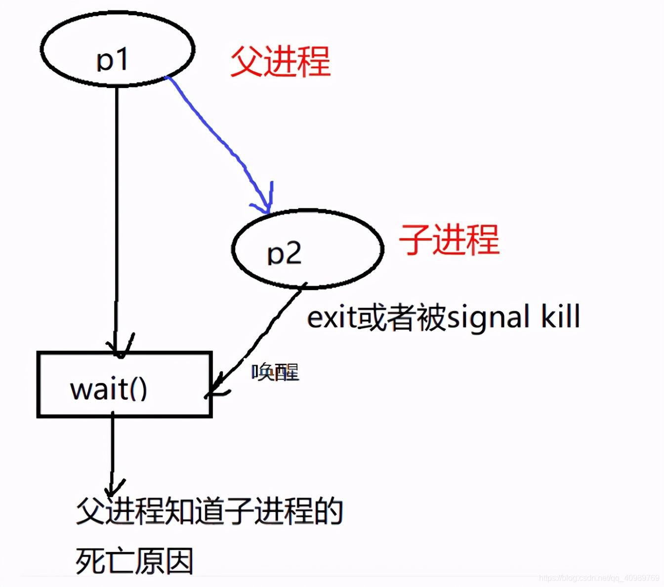 Why does the parent process in Linux need to know the cause of death of the child process?