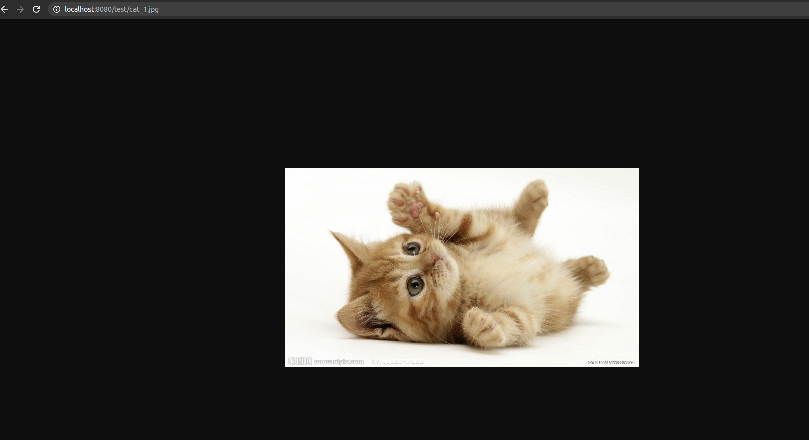 04下安装tomcat,并配置访问本地资源