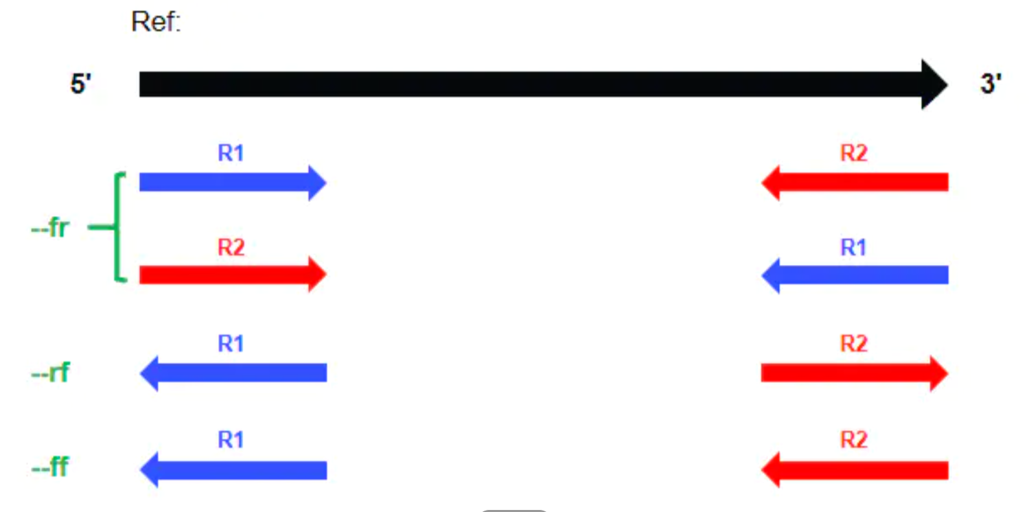Hisat2 Bowtie2比对结果解读