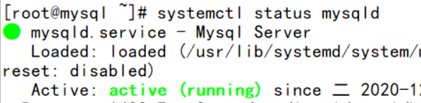 发现mysql已经可以正常启动