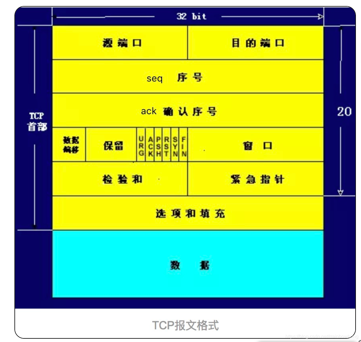 TCP报文格式