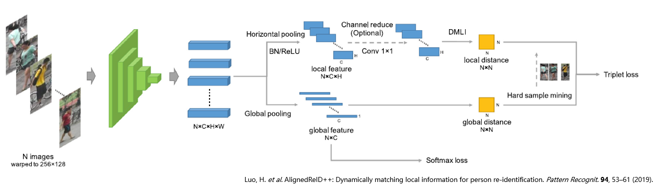 AlignedReID++模型框架