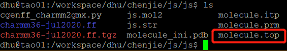 GCenFF生成Gromacs Topol文件用于CHARMM36力场