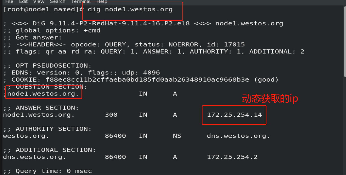 ddns的搭建（动态域名解析DDNS）-CSDN博客