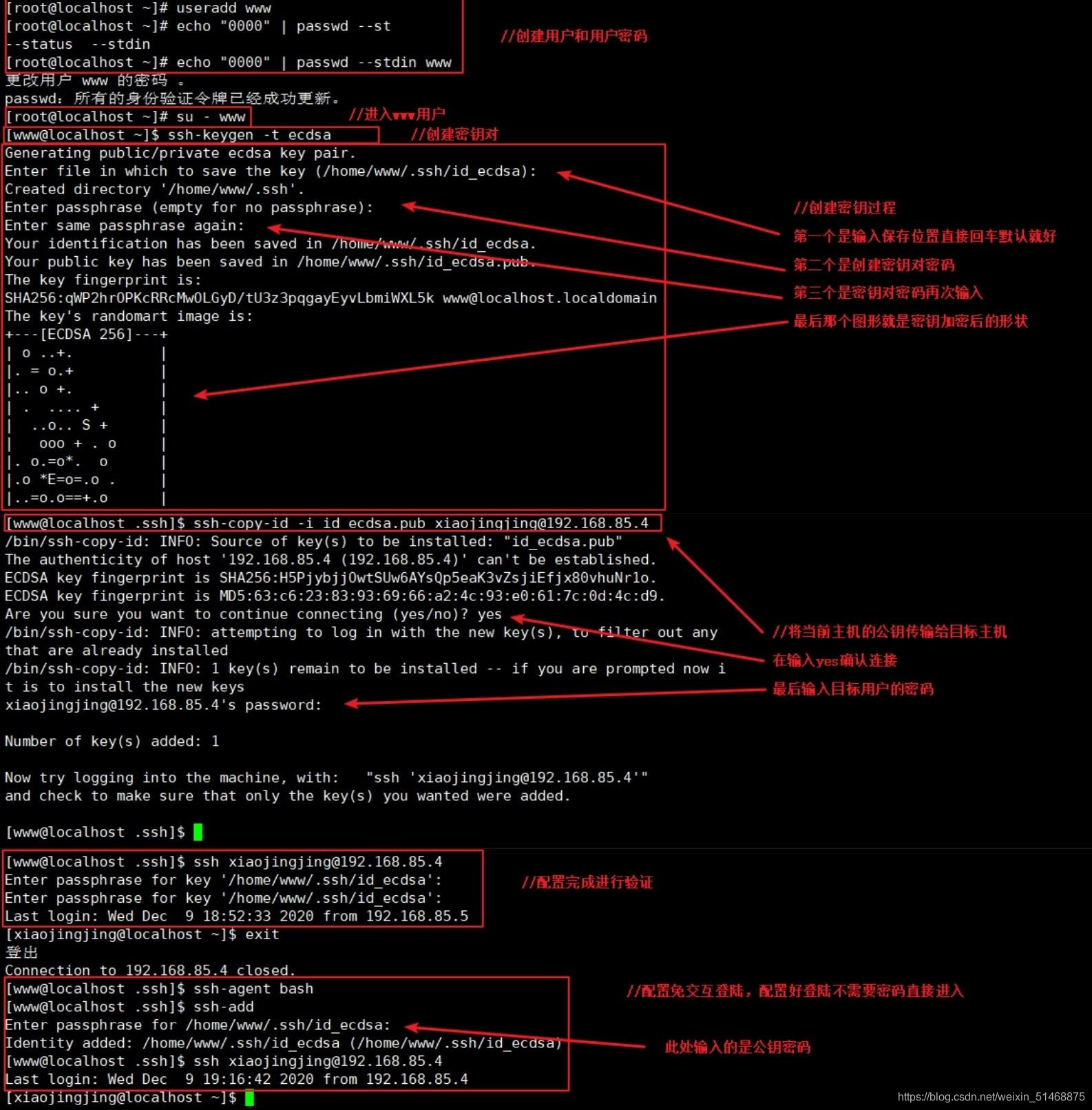 Linux   SSH远程管理和客户端的使用（内置实验解析图）