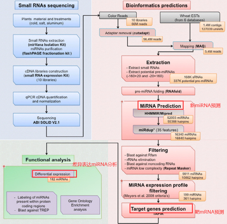 Omics精进07|转录组之mRNA|miRNA|lncRNA|circRNA测序简介_pythonic生物人的博客-CSDN博客