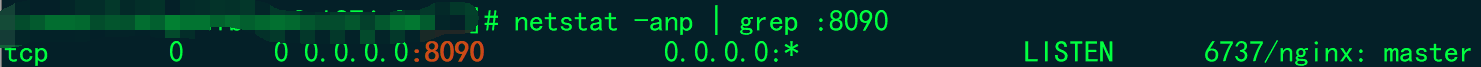 netstat -anp | grep :在Nginx上运行的端口