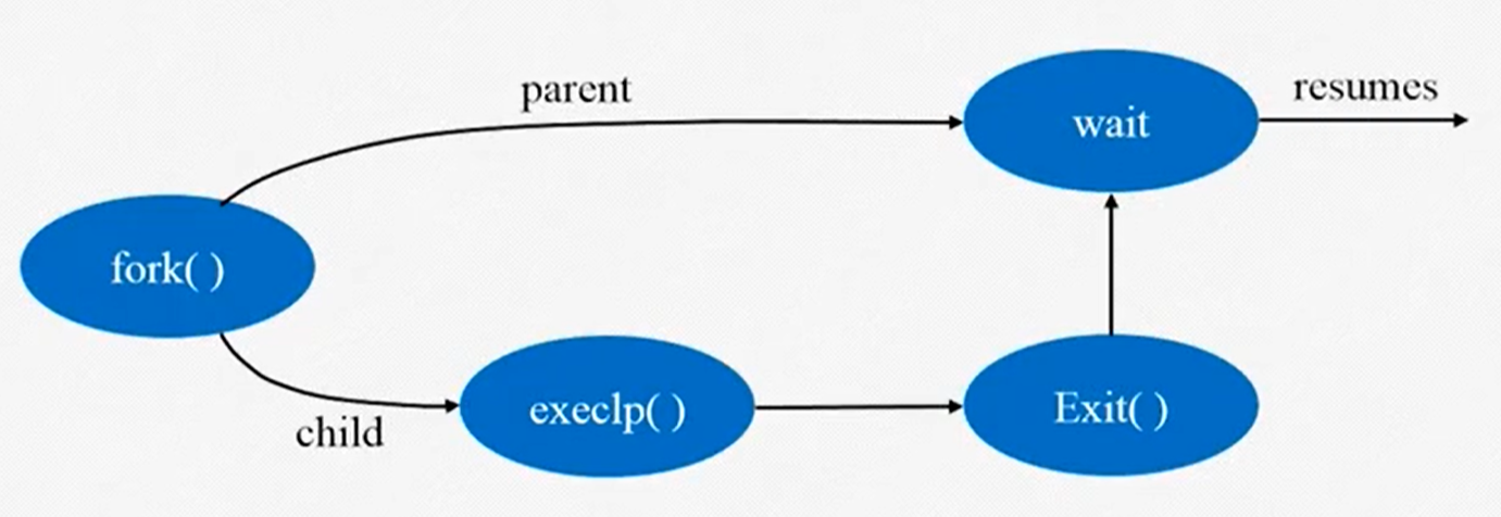 fork粗略记录_fork记录是什么意思-CSDN博客