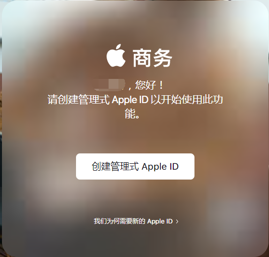 appleid图片