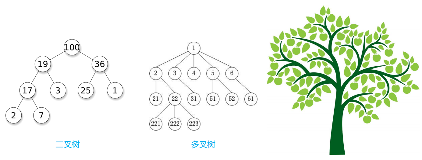 【数据结构】基础二叉树、真二叉树、满二叉树、完全二叉树、二叉树的遍历_真二叉树是什么意思-CSDN博客