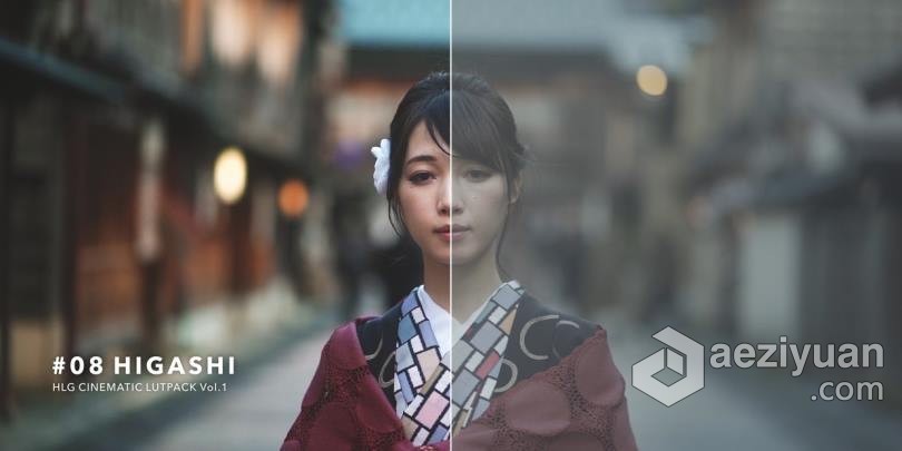 Sony索尼HLG灰片电影调色LUT预设合集 HLG CINEMATIC LUTPACK BUNDLE
