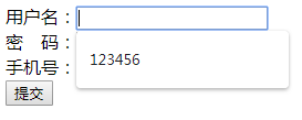 autocomplete